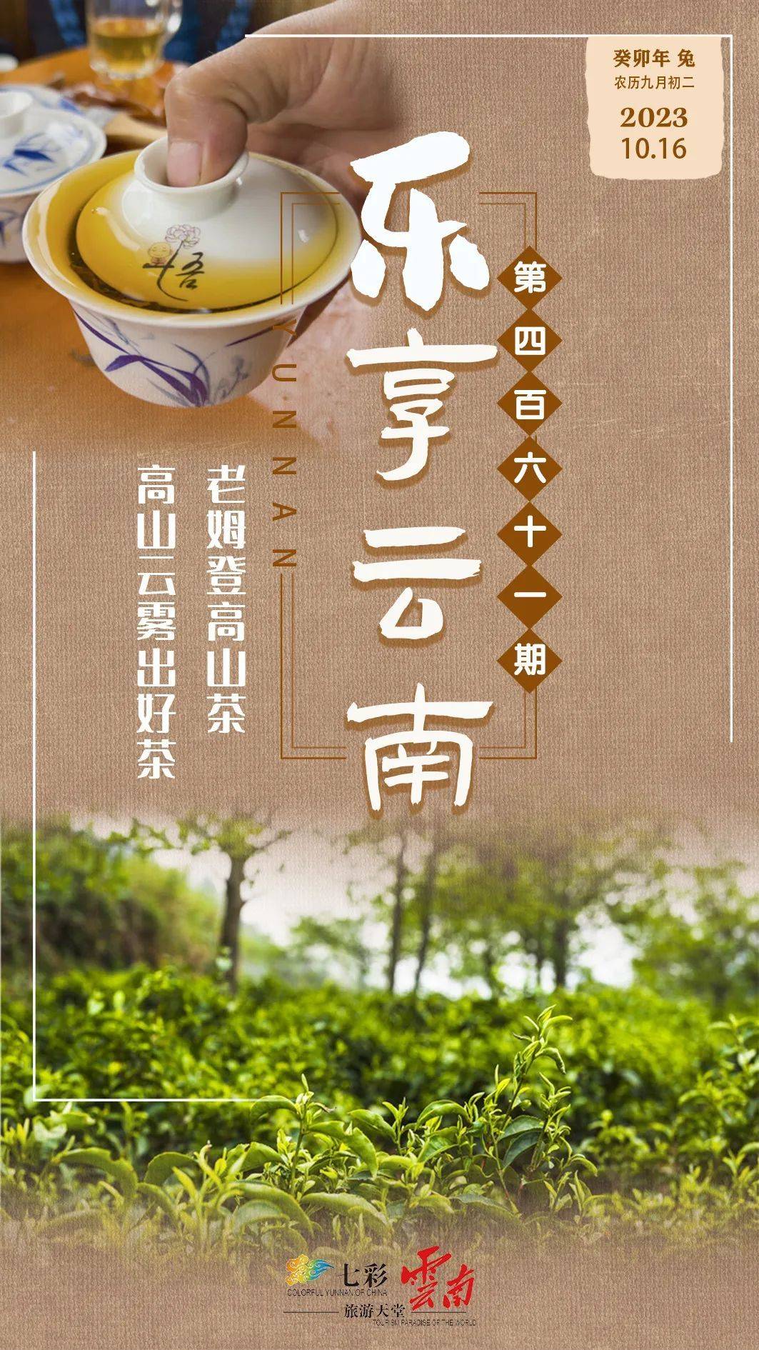 乐享云南丨好礼·怒江老姆登高山茶