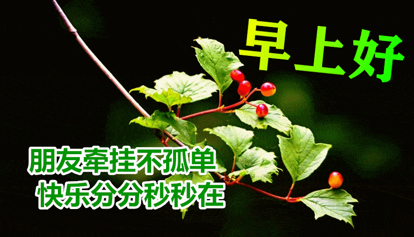 原创            8张最美秋天风景早安图片带字带祝福语