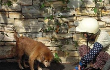88岁老奶奶18年来不间断餵食流浪猫狗,只因不忍心它们挨饿 88岁老奶奶18年来不间断餵食流浪猫狗,只因不忍心它们挨饿