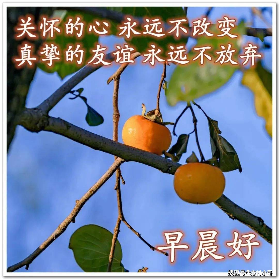 原创            8张最美秋天风景早安图片带字带祝福语