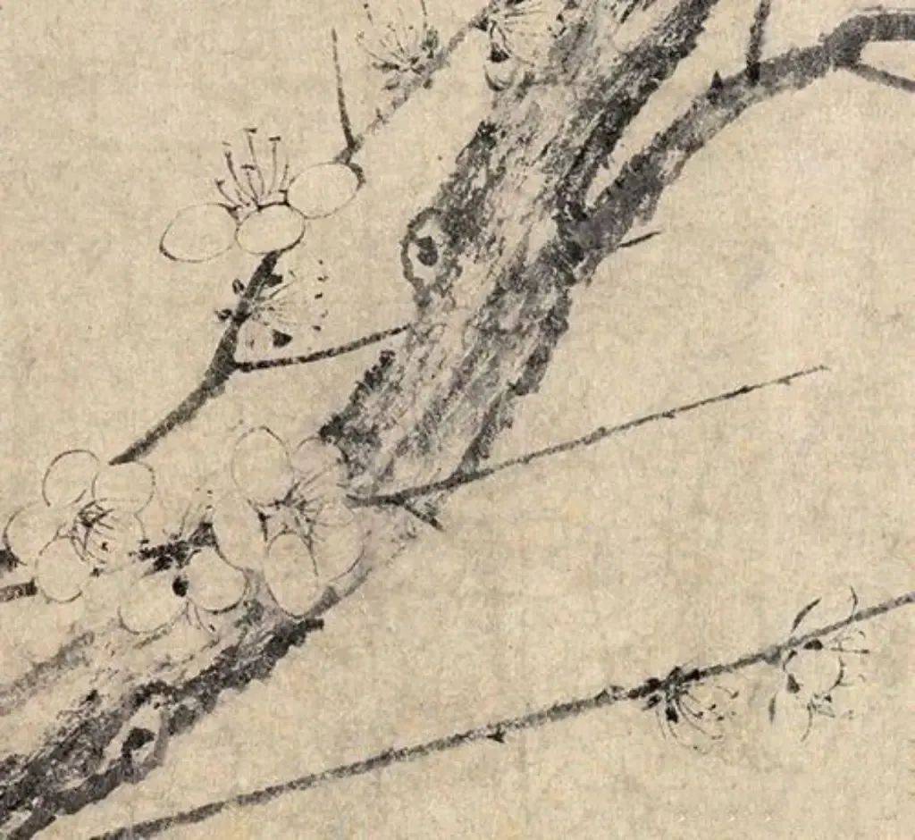 宋朝的墨梅画:《四梅图》