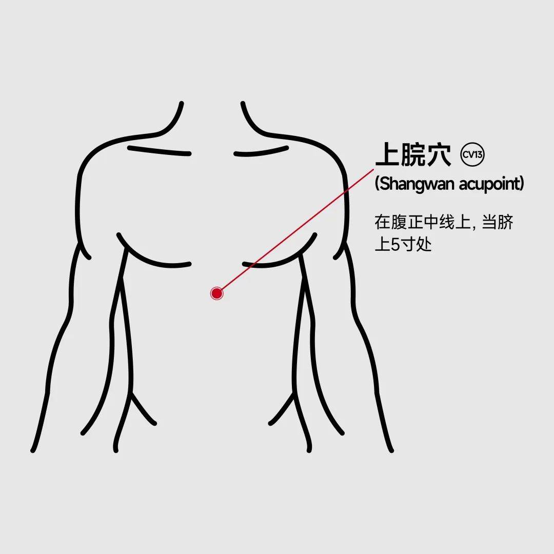 上腕的准确位置图图片