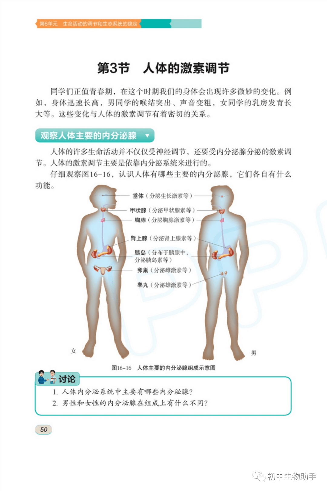 七下生物激素分泌 第1张
七下生物激素分泌 第1张