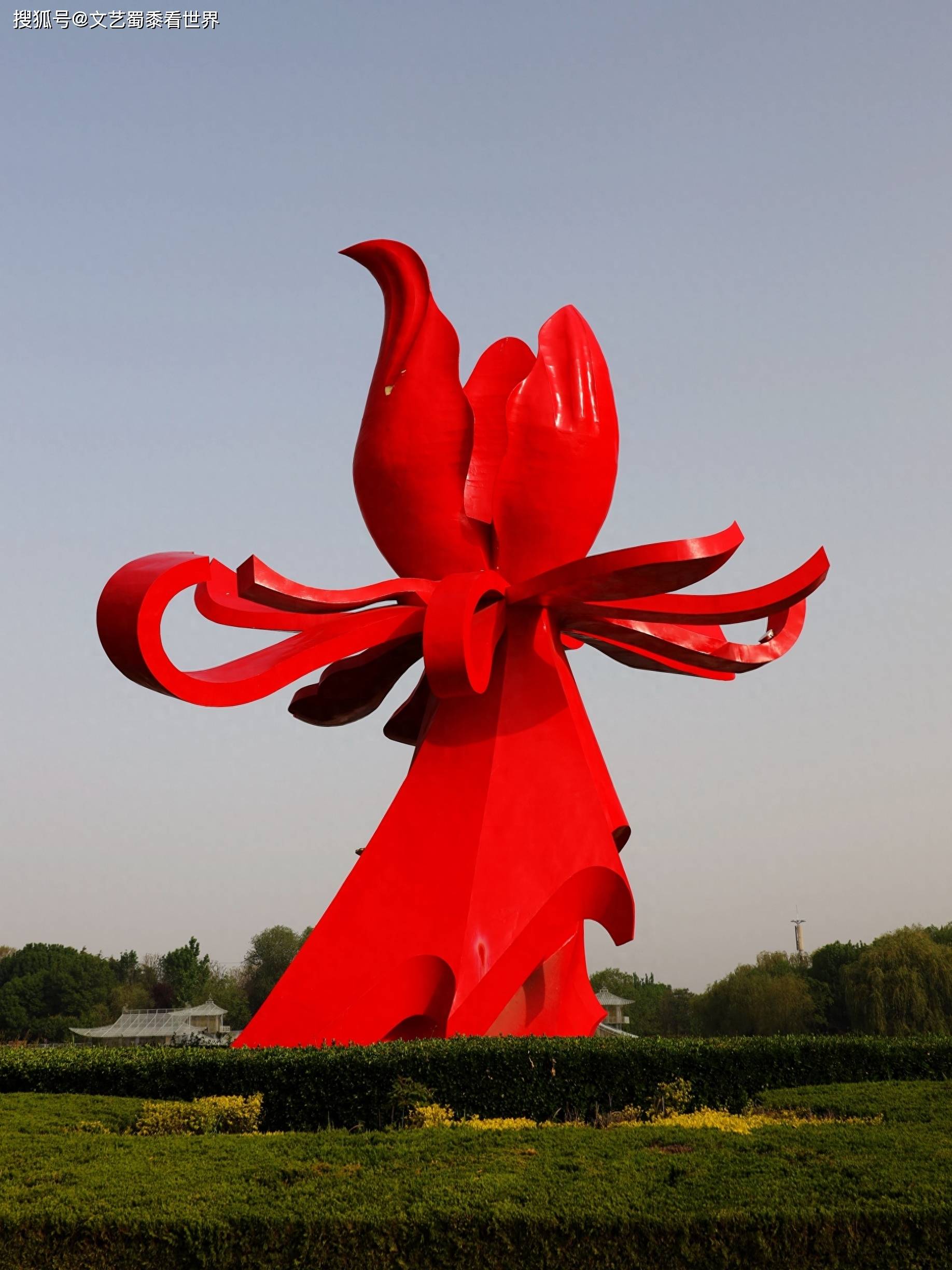 "中国牡丹之都"竟然是菏泽,原以为是洛阳,这到底是怎么回事?