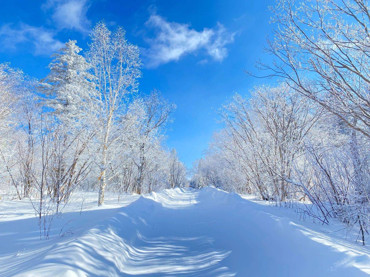 长白山旅游玩5天4晚,竟然不到1500元!省钱攻略大揭密