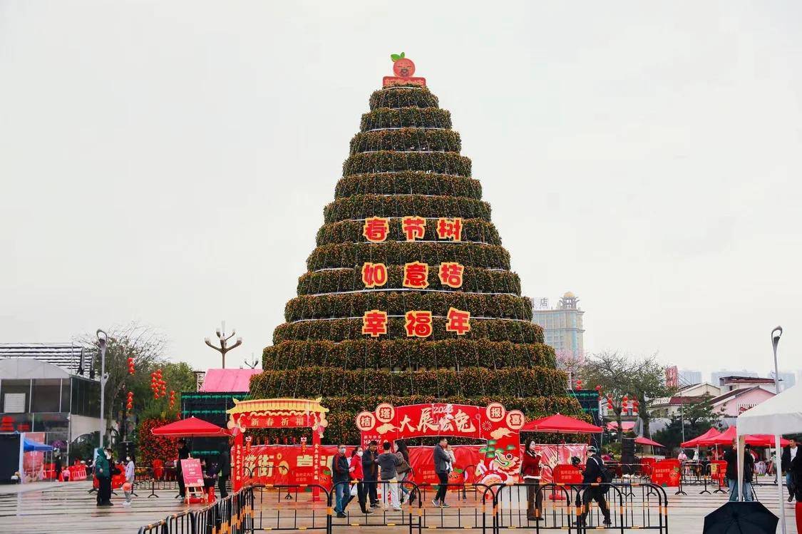 顺德"云上花市"盛大启动_陈村花卉世界_广东_活动