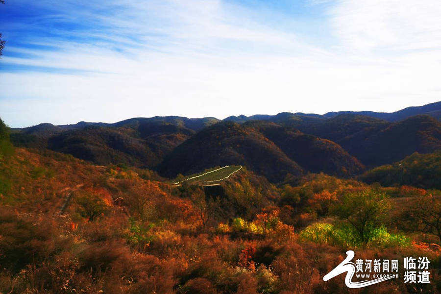 黄河新闻网临汾频道 车晓云 摄