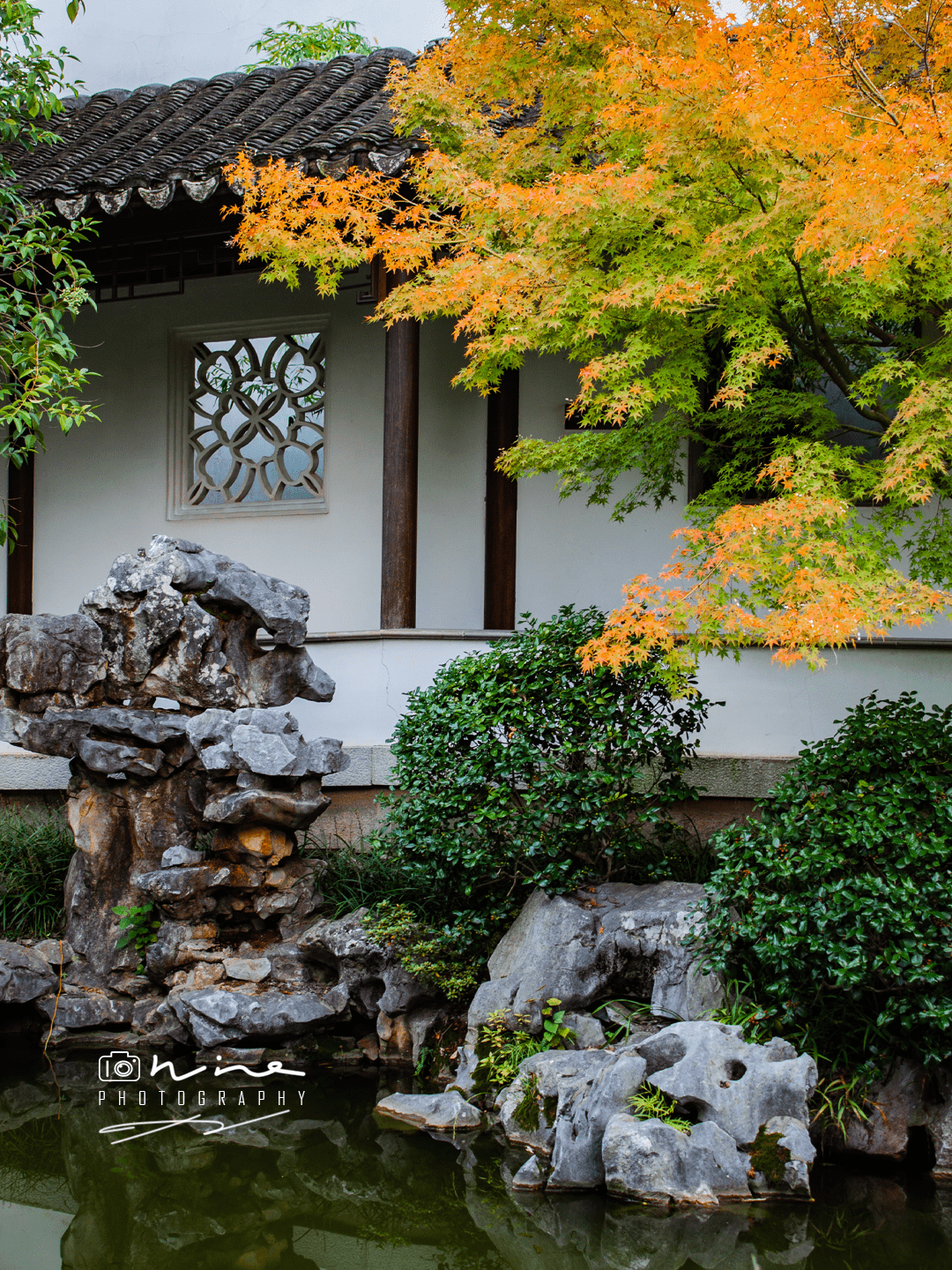 逼自己逛完上海五大园林第三站之秋霞圃,一天时间怎么玩_景区_凝霞