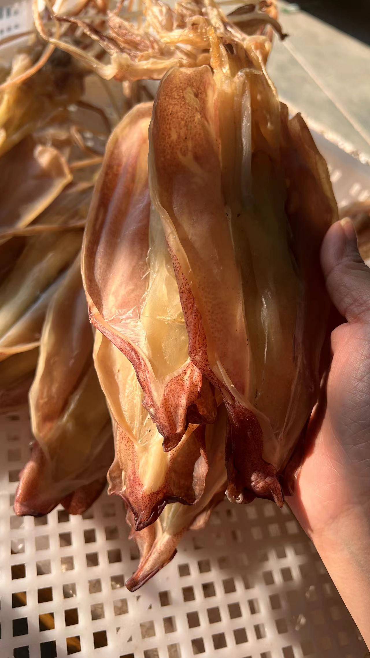 坐月子的滋补圣品——东山岛海鲜鱿鱼母干_身体_过程_口感