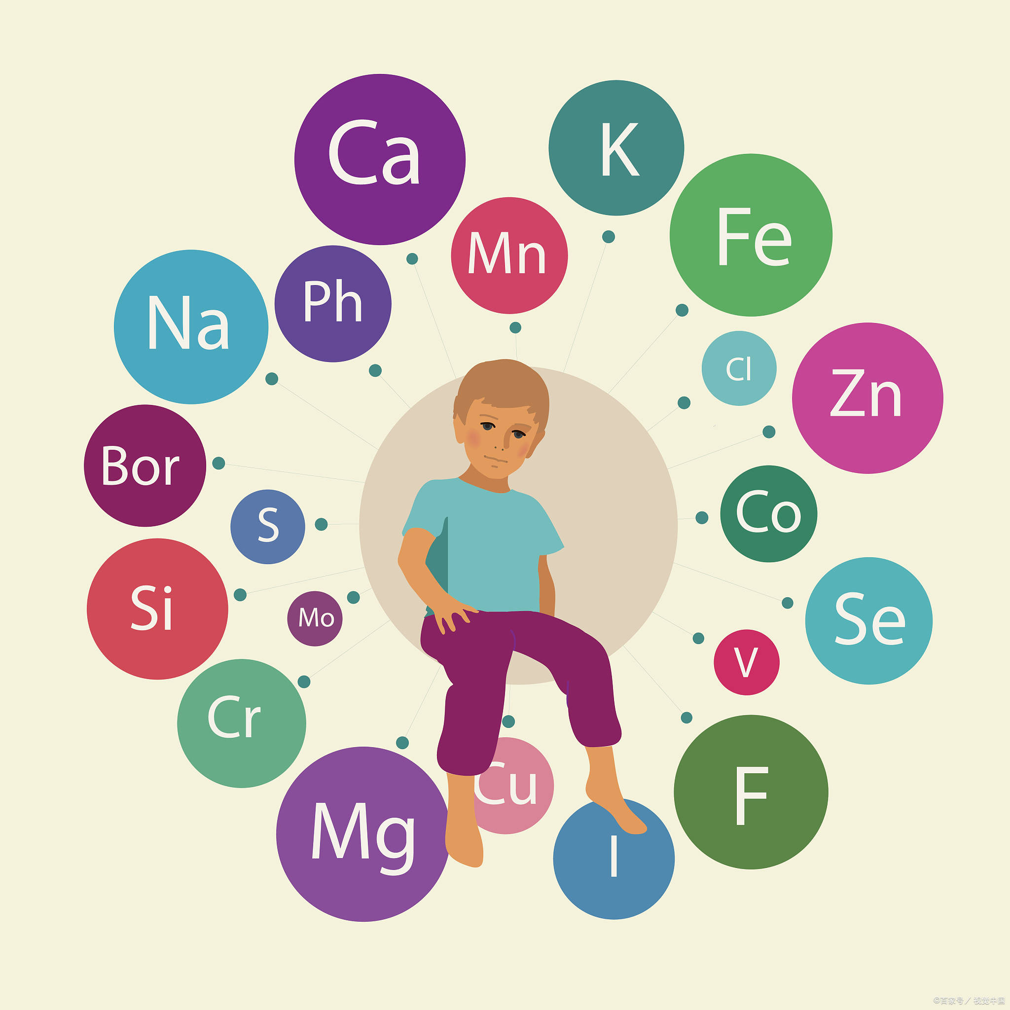 维生素_微量元素_人体