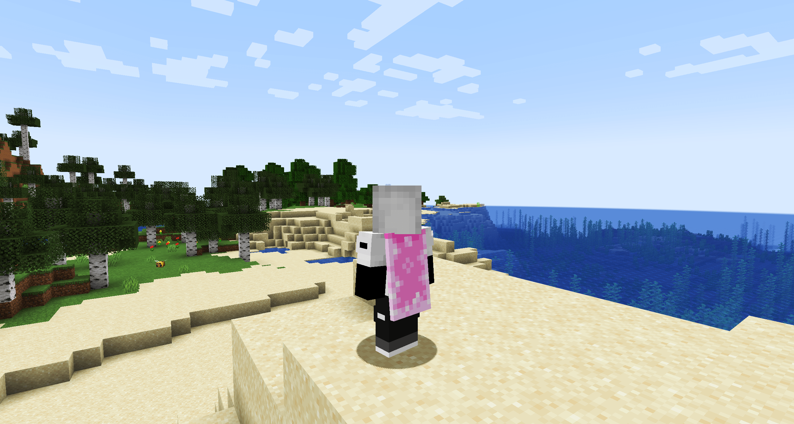 在官网和启动器投票也会获得相应的披风),当时我们就称这投票送披风要