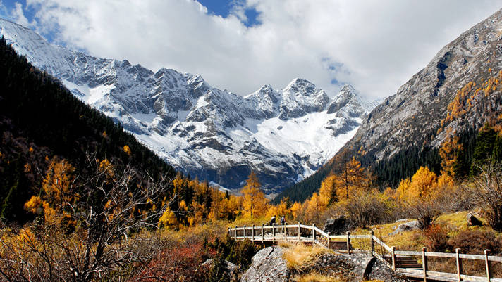 神奇的达古冰川彩林:冰川王国中的绚丽奇观_周边地区_树木_中国