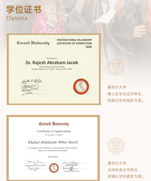 在职博士学位证书编号 来自搜狐网
