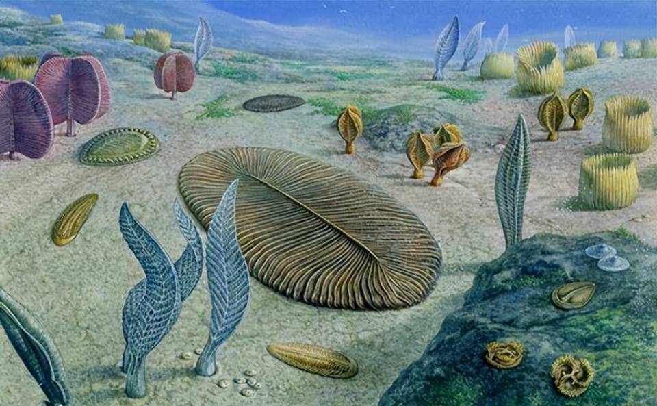 图:金伯拉虫-就这样给自己摊开在海底随便吃很多人可能都了解过寒武纪