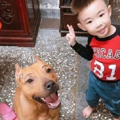 接到举报称有人在家养狮子，上门后不失礼貌地笑了：年轻人真会玩 
