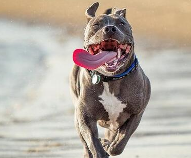 幽默笑话:我一进急诊,就有病人捂着肚子朝我走来