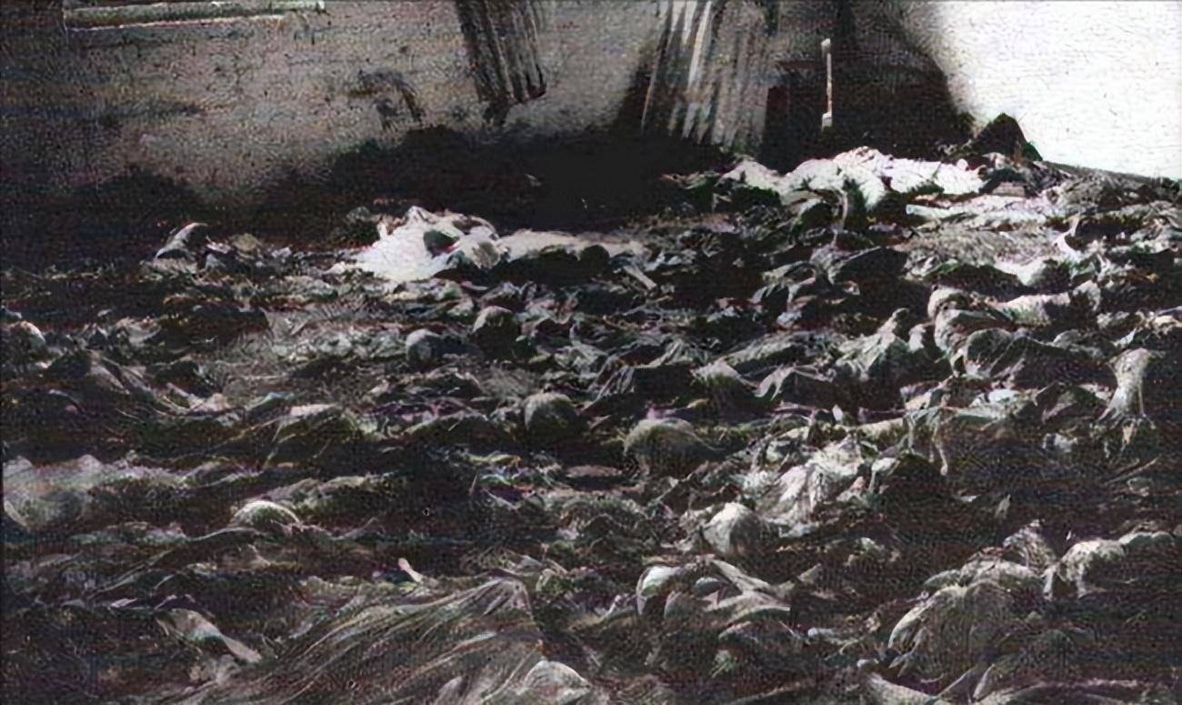 30万华人惨遭印尼恐怖虐杀,数万女性被凌辱致死_屠杀_暴徒_事件