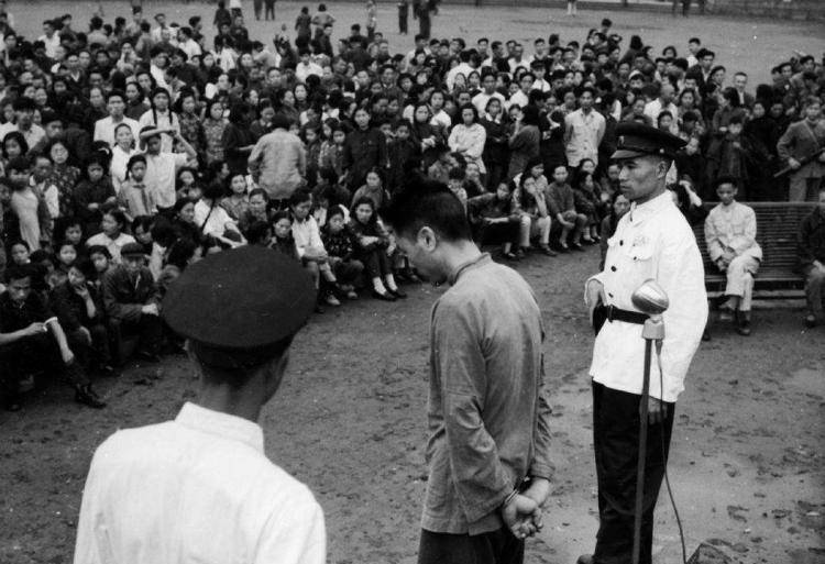 军统特务杀害300多名战士,躲在农村被评为劳模,最终结局如何_杨进兴