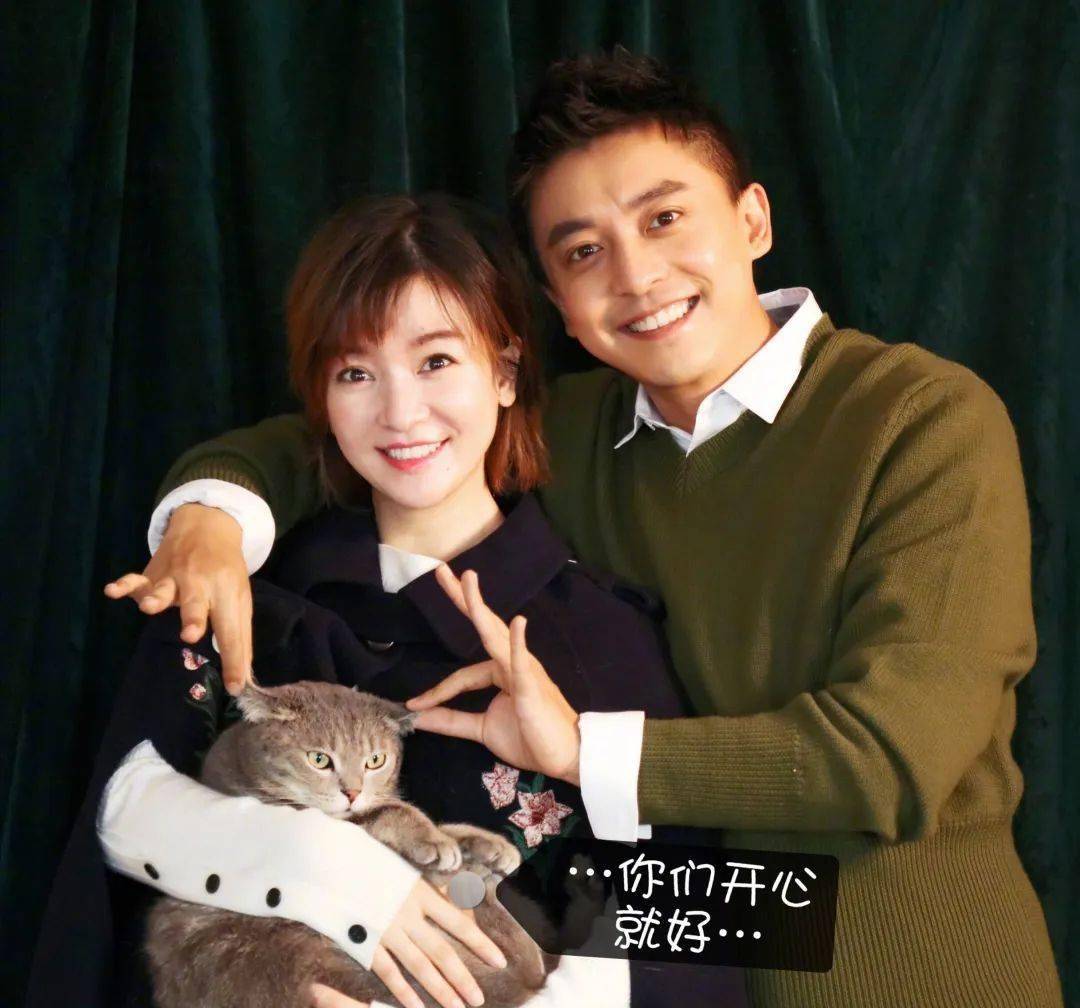 《爱情公寓》14年:有人狂揽38亿,有人糊穿地心_李佳航_张伟_角色