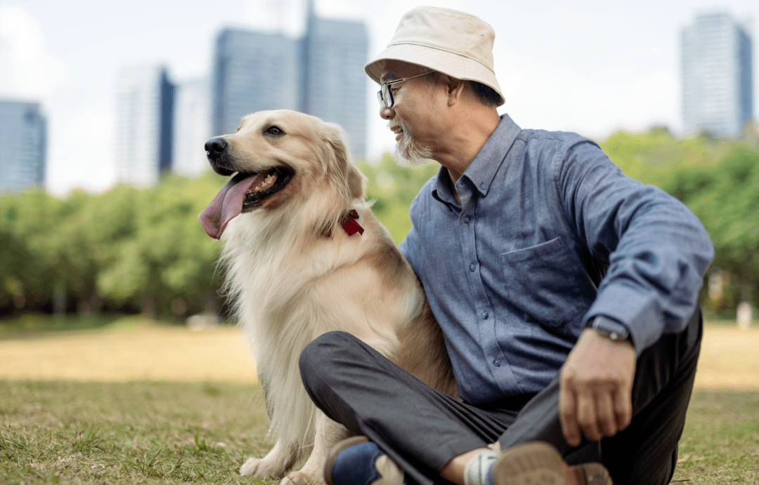 事关3亿人:我们的晚年,到底该托付给谁_养老_机构_赡养