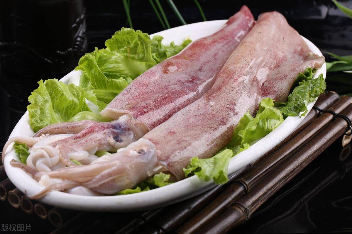 鱿鱼还是蝙蝠鱼?_特征_头部_身体