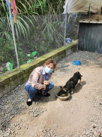 71岁温阿姨成为宁波首位流浪犬领养人 免费领养要符合哪些条件？ 