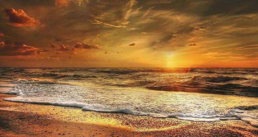 家电双11京东苏宁海尔美的共振，三季报海信TCL康佳业绩分化-家电圈官网