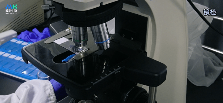 transwell细胞迁移的实验操作全过程具体演示_培养液_培养基_小室