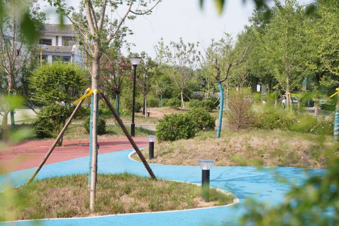 小城镇建设激发城乡融合发展活力_代王街道_乡村_村民