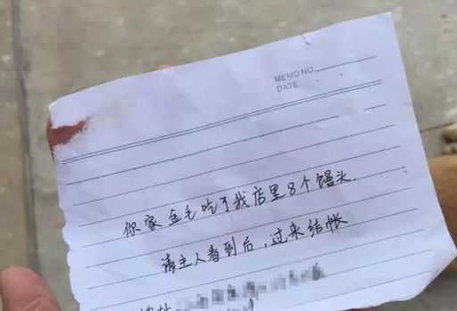 金毛离家出走,他回来时,头上有一张小纸条 金毛离家出走,他回来时,头上有一张小纸条