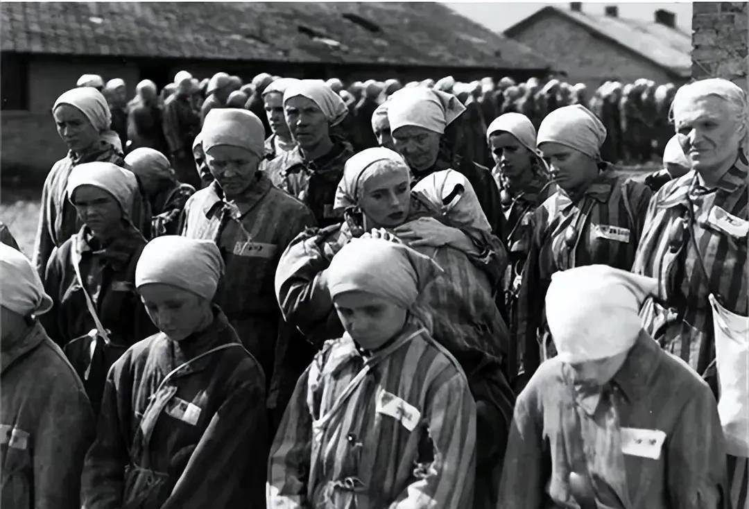 1942年,利迪策村从地图消失,340人丧命,原因竟是一场报复行动_海德里