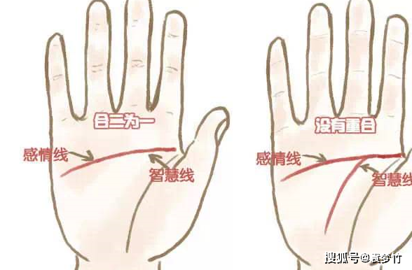 断掌,就是指手掌中智慧线和感情线相交,合二为一,横贯手掌.