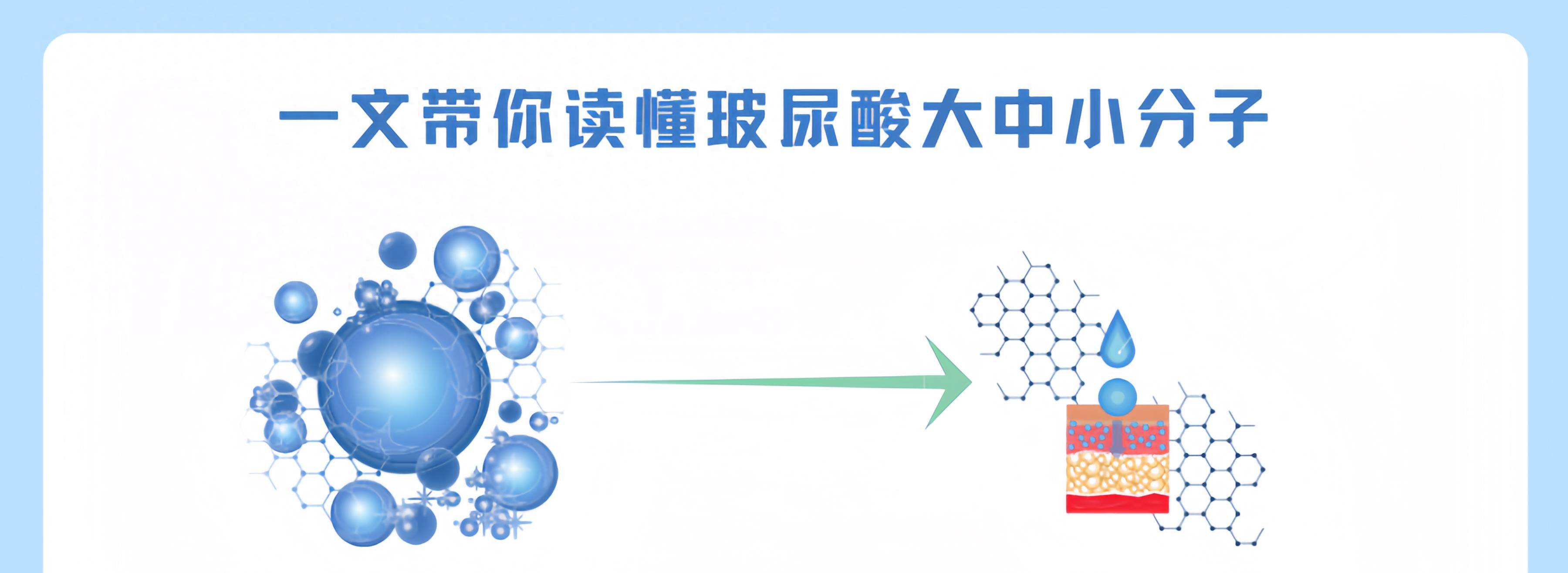 这篇文章带你了解玻尿酸的大分子,中分子,小分子