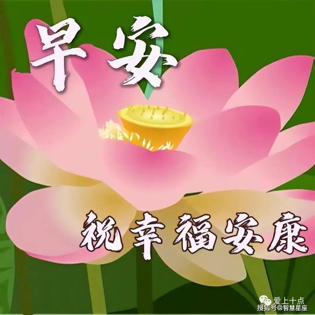 11月11日早上好動態表情圖片大全,早晨好動圖美圖大全_問候_成功_一生