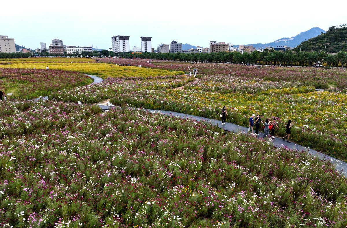 白沙岛村:温州乐清市的一颗璀璨明珠