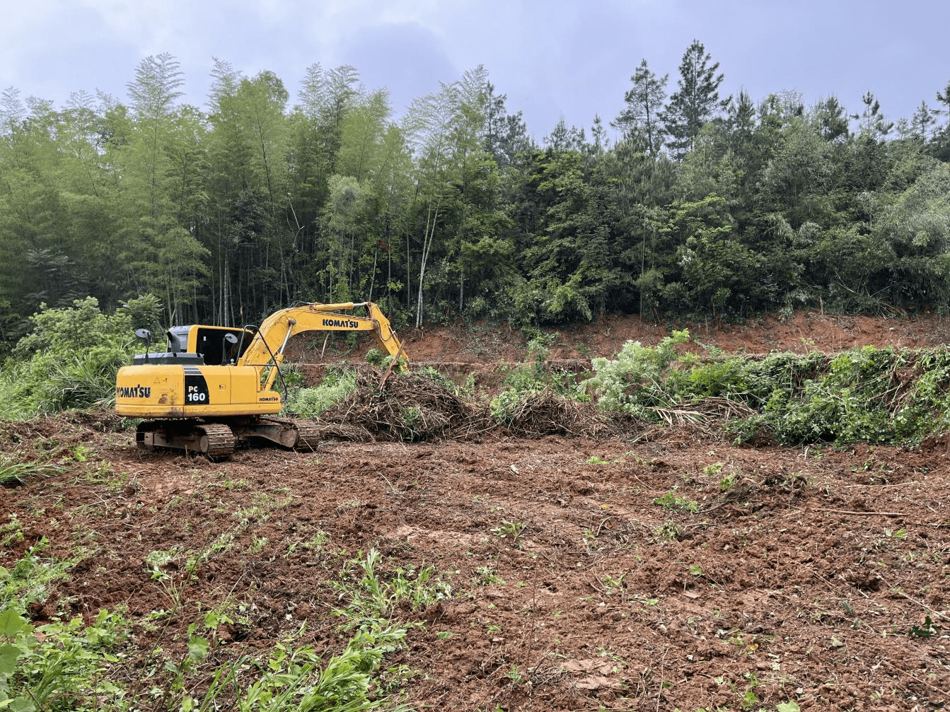 《土地管理法》第四十条开发未确定使用权的国有荒山,荒地,荒滩从事
