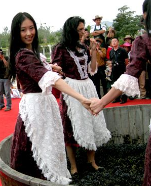 还有就是红酒.你可能想知道,红酒不就是在发酵葡萄汁,需要用脚踩嘛吗?