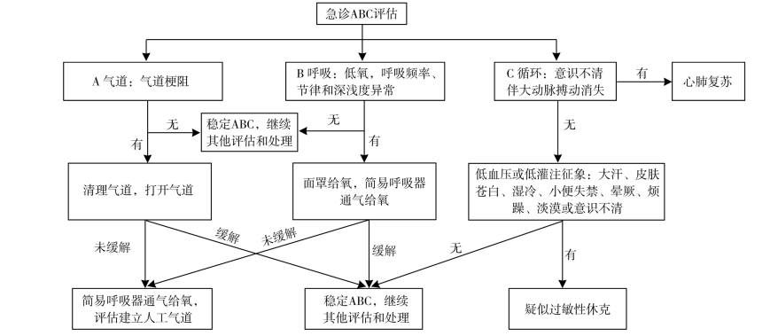 在稳定 abc 的基础上,采取进一步的紧急处理措施;无论患者发生了任何