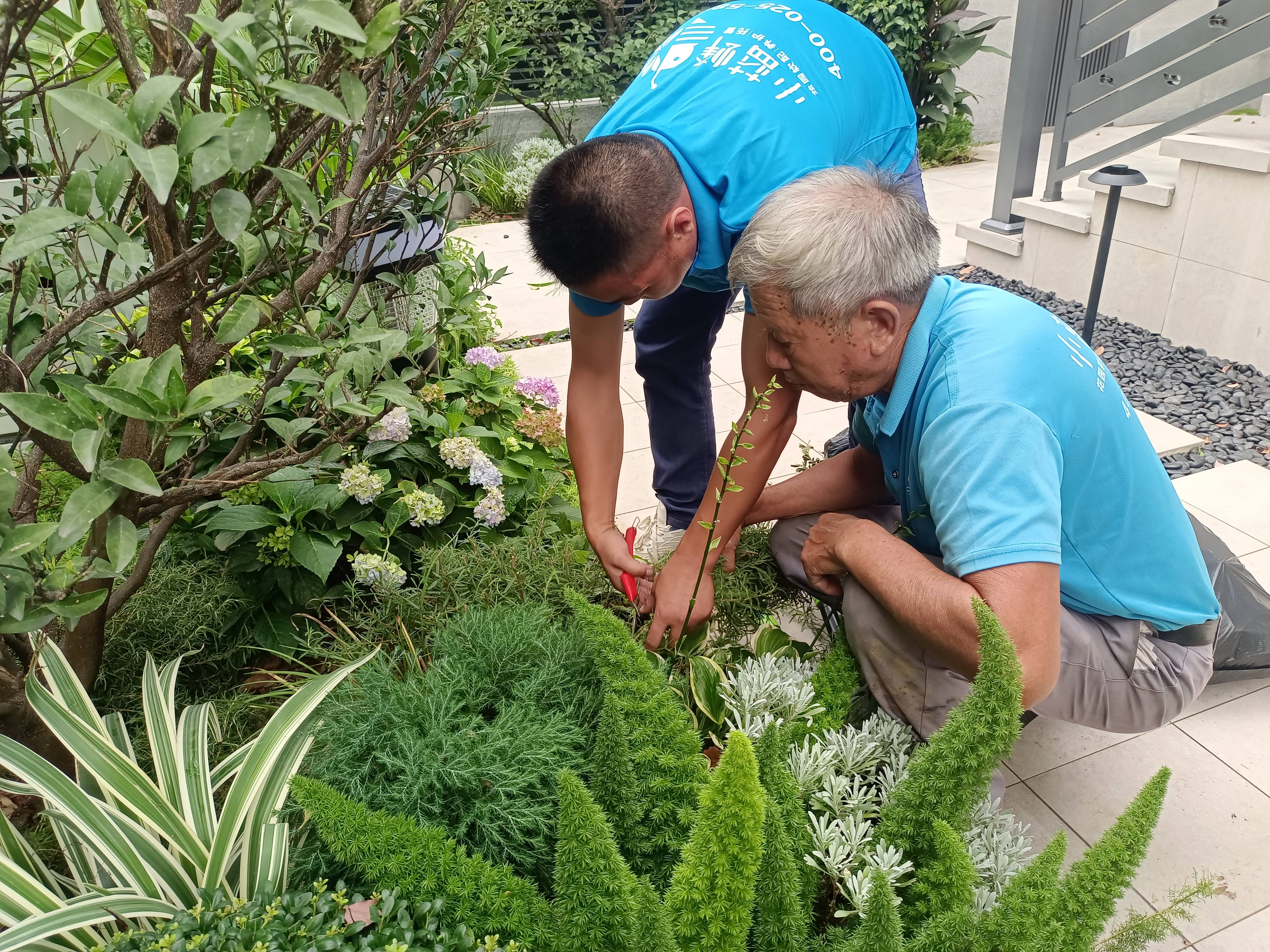 花园植物修剪方法汇总