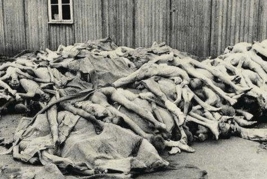 日本731部队实验图片图片