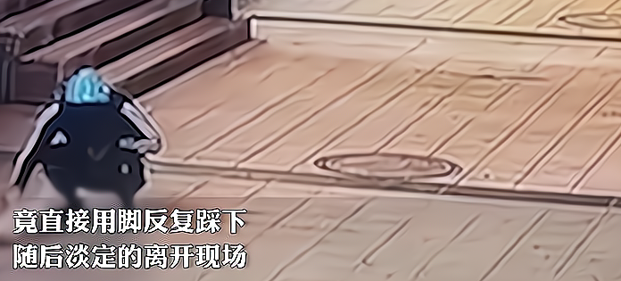 广东一男子当街虐猫，网友怒批：你可以不爱，请别伤害 