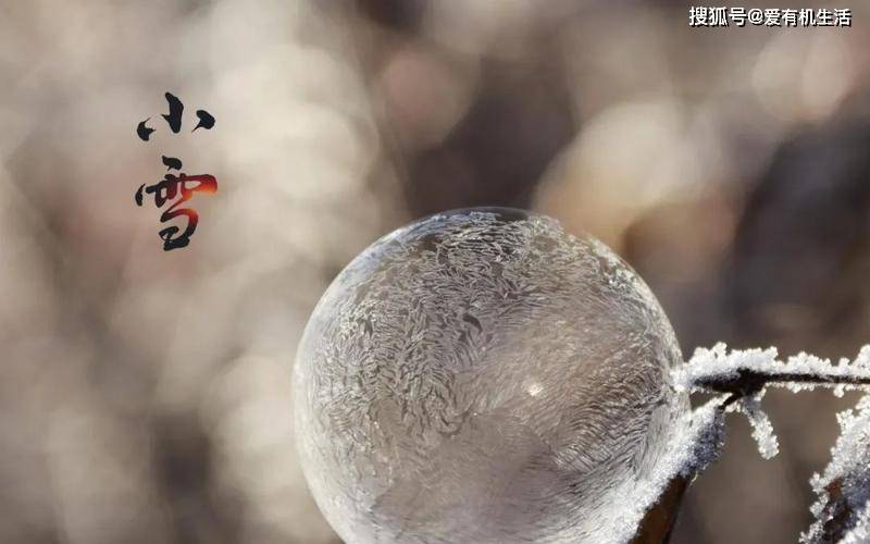 小雪节气的由来和风俗，小雪节气的特点