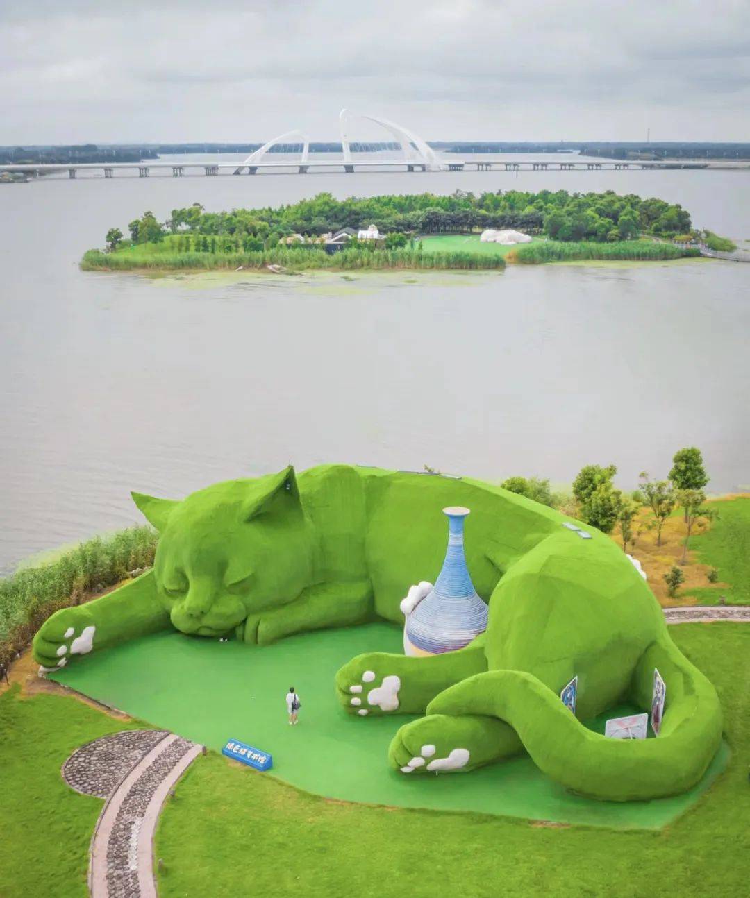 登陆肥猫岛 邂逅现实中的魔法喵星球_猫咪_毛孩子_游客