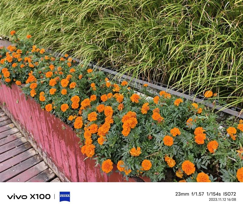 潜望长焦不再是超大杯的特权！vivo X100评测：最具性价比的标准版影像旗舰(图21)