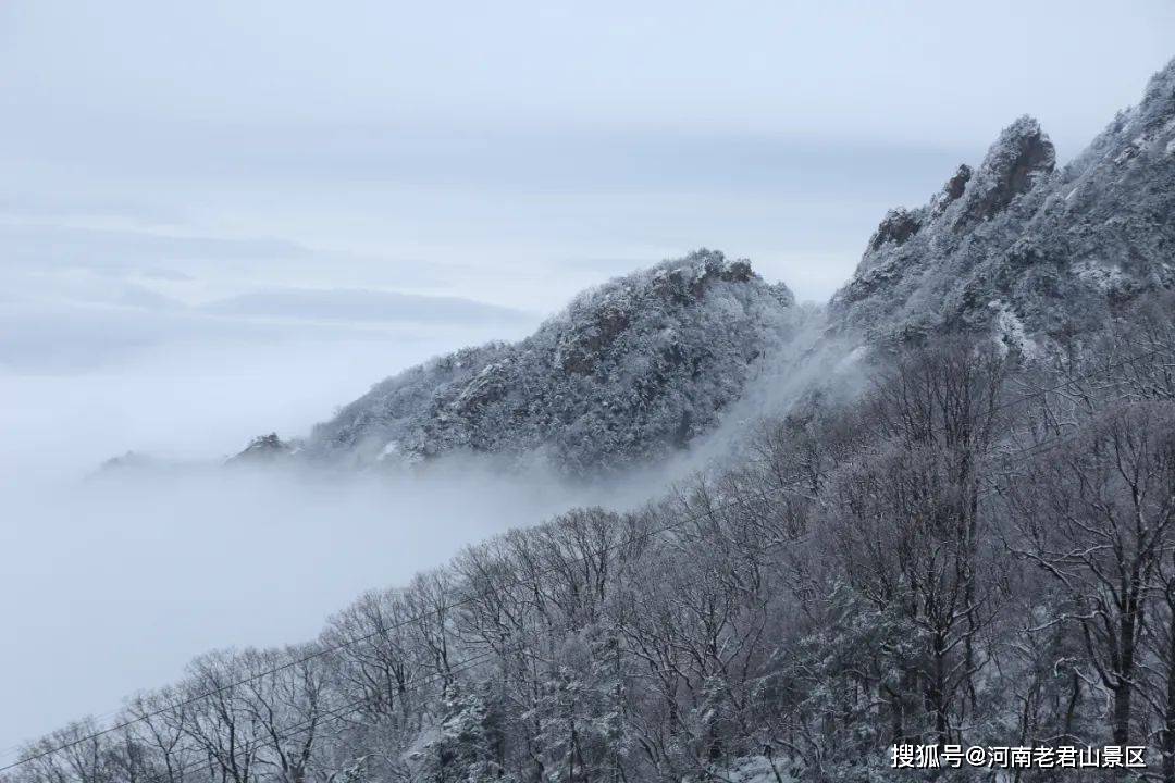 穿越时间长河,一起来看老君山的雪!_君君_景区_雪景