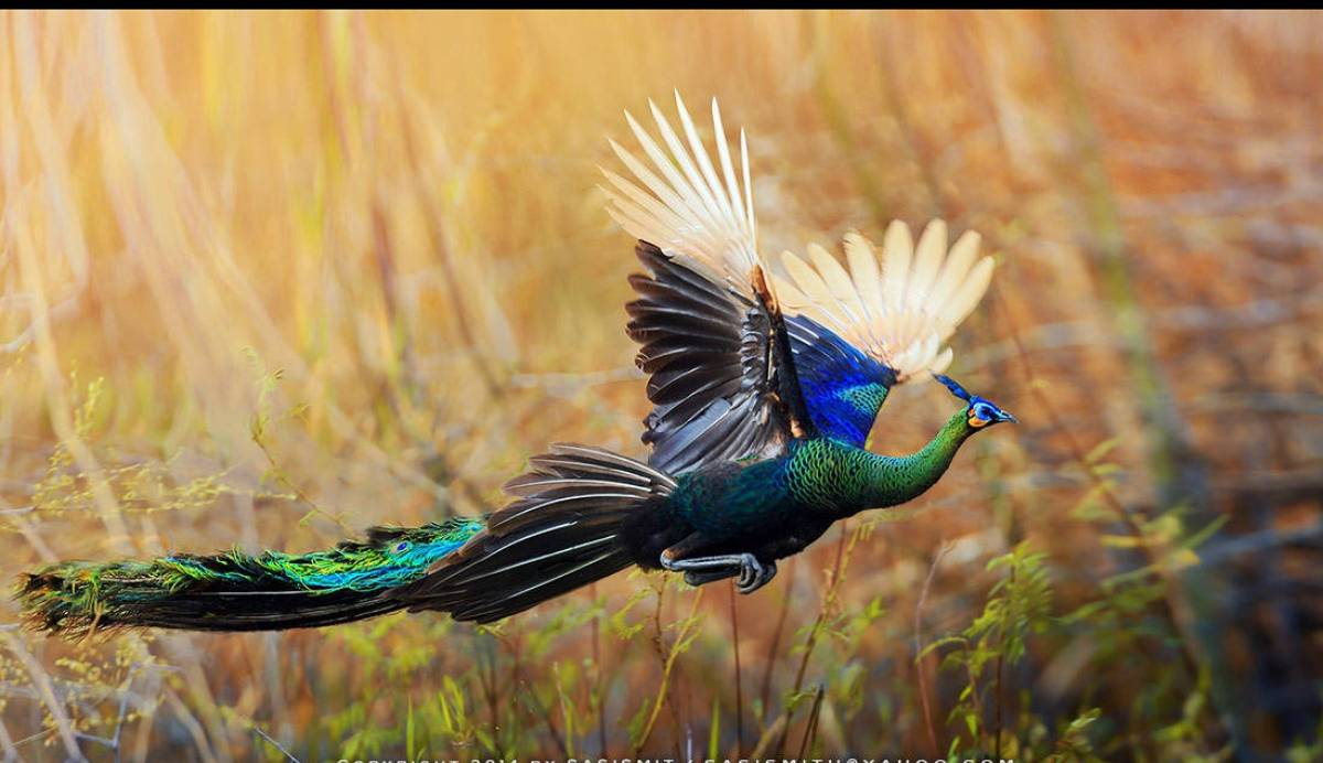 能感受到她的大爱,特今日拾人牙慧,汇集成篇,希望在初冬