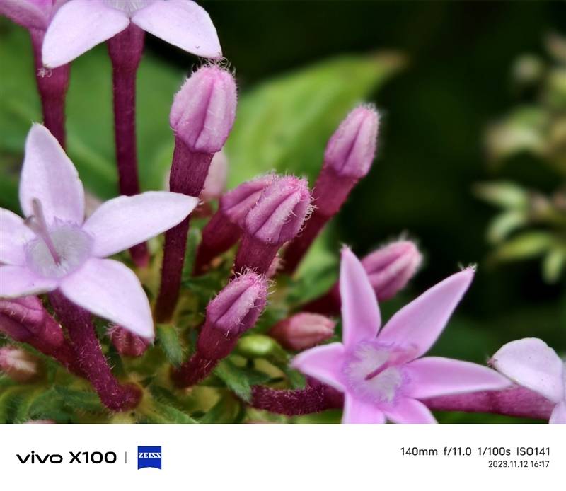 潜望长焦不再是超大杯的特权！vivo X100评测：最具性价比的标准版影像旗舰(图42)