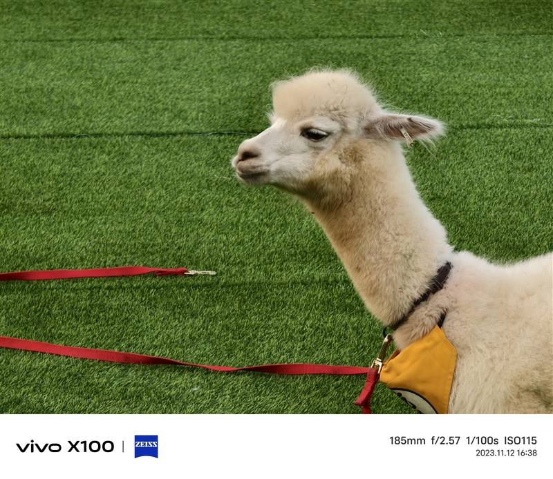 潜望长焦不再是超大杯的特权！vivo X100评测：最具性价比的标准版影像旗舰(图25)