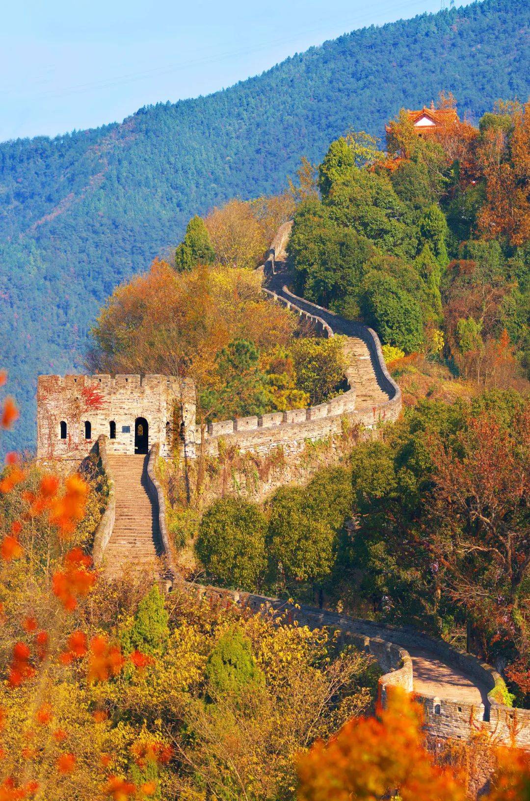 這一路藏著八分煙火,十分低調,去過百次還是被驚豔_旅遊_天台_時光