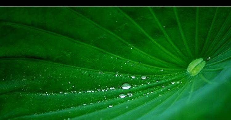 无论你的丈夫落魄还是贫穷,他都不会离开你,有四大